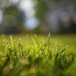 TLC Landscaping