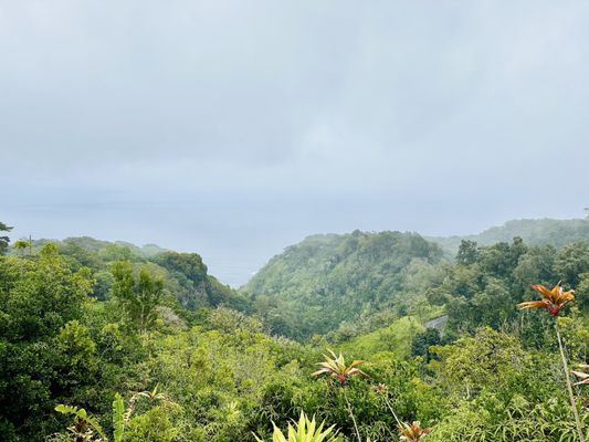 Garden of Eden Arboretum by null