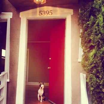 Angelo Raymundo - Compass - My little Boston Terrier, Reggie posing in our new house Angelo helped me get! - Real Estate Agents Near Me - Oakland, California