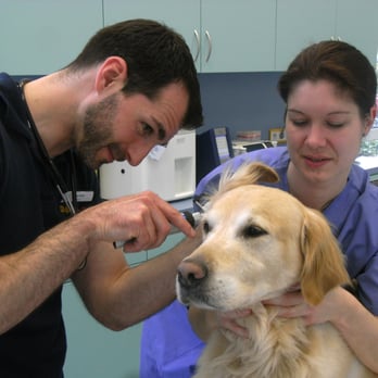SmartVet - Veterinarians Near Me - Gelsenkirchen, NW SmartVet - Veterinarians Near Me - Gelsenkirchen, NW