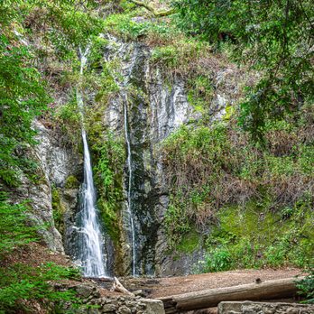 Pfeiffer Big Sur State Park - Parks Near Me Pfeiffer Big Sur State Park - Parks Near Me