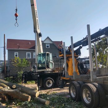 Darrin's Tree Service - Tree Services Near Me - East Hanover, New Jersey Darrin's Tree Service - Tree Services Near Me - East Hanover, New Jersey