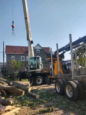 Tree Removal & Stump Grinding Services - Our company specializes in professional tree removal at affordable prices. Our trained professionals will safely and carefully remove any trees from your property and grind down the stumps. Tree Removal & Stump Grinding Services - Our company specializes in professional tree removal at affordable prices. Our trained professionals will safely and carefully remove any trees from your property and grind down the stumps.