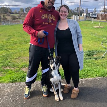 PowerHouseK9 - Picking up our guy - Pet Training Near Me PowerHouseK9 - Picking up our guy - Pet Training Near Me