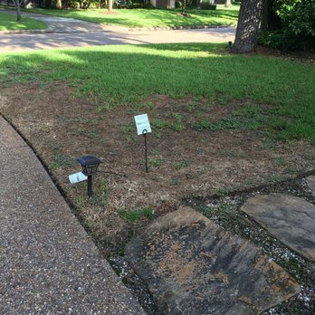 TruGreen Lawn Care - This is what you get #2 - My TruGreen Yard, no-one has reached out to help from Chemlawn - Tree Services Near Me - Sugar Land, Texas TruGreen Lawn Care - This is what you get #2 - My TruGreen Yard, no-one has reached out to help from Chemlawn - Tree Services Near Me - Sugar Land, Texas
