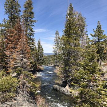Frazier Falls Trail - Frazier Creek just before the waterfall - Hiking Near Me - Graeagle, California