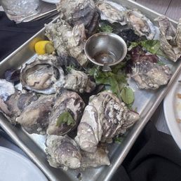&1 room temp oysters &1 room temp oysters