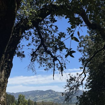 Jack London State Historic Park - Parks Near Me - Glen Ellen, California Jack London State Historic Park - Parks Near Me - Glen Ellen, California