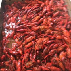 TJs Crawfish Shack - Hot and ready