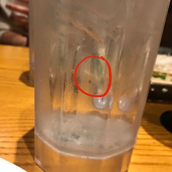 Chili's - Dirty glass I had to request because they didn't bring water.  Also out of straws. - American Near Me - Concord, California