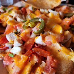 Wild Wings