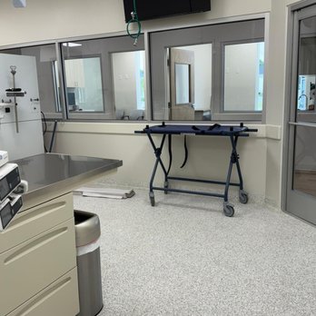 Revive Veterinary Emergency & Specialty Hospital - Emergency Pet Hospital Near Me - Prosper, Texas Revive Veterinary Emergency & Specialty Hospital - Emergency Pet Hospital Near Me - Prosper, Texas