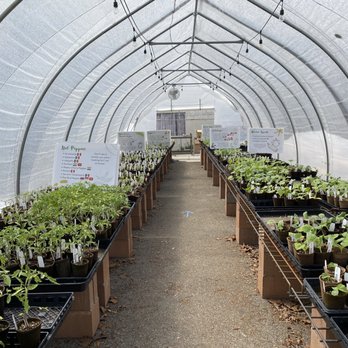 Valley Verde - Greenhouse - Community Service/Non-Profit Near Me - San Jose, California