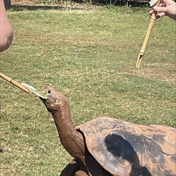 Oklahoma City Zoo - Zoos Near Me - Oklahoma City, Oklahoma Oklahoma City Zoo - Zoos Near Me - Oklahoma City, Oklahoma