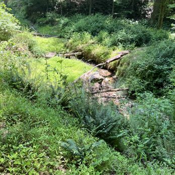Patapsco Valley State Park - Parks Near Me - Ellicott City, Maryland