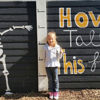 Skinny Bones Pumpkin Patch - Pumpkin Patches Near Me - Blair, Nebraska