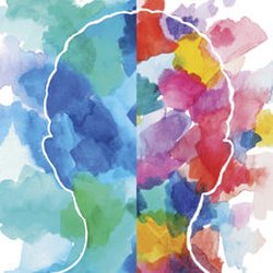 Stanley  Yantis, MD - Colorful Brain