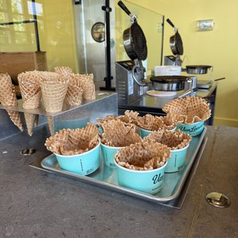 Van Leeuwen - Ice Cream & Frozen Yogurt Near Me - Nashville, Tennessee