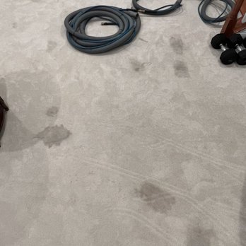 NEO Carpet Cleaning - Before (with stains) - Carpet Cleaning Near Me - Philadelphia, Pennsylvania
