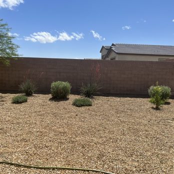 Sagos Landscape Tree Service - After - Landscaping Near Me - North Las Vegas, Nevada Sagos Landscape Tree Service - After - Landscaping Near Me - North Las Vegas, Nevada