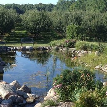 Fireside Orchard & Gardens - Beautiful gardens and a fish pond! What a gem of an orchard. - Fruits & Veggies Near Me - Northfield, Minnesota Fireside Orchard & Gardens - Beautiful gardens and a fish pond! What a gem of an orchard. - Fruits & Veggies Near Me - Northfield, Minnesota