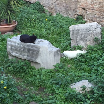 Torre Argentina - Public Plazas Near Me - Rome, RM Torre Argentina - Public Plazas Near Me - Rome, RM