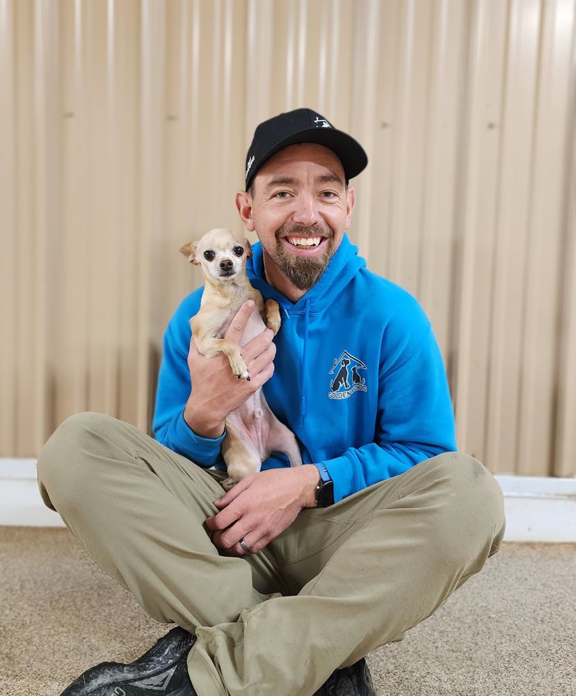 Golden Wood - pet boarding facility in Aliquippa, PA