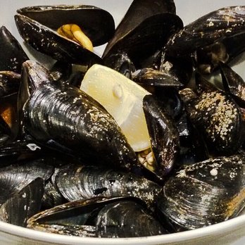 Fish Dancer - Dirty, dirty mussels! Stomach bugs lurking... - Seafood Near Me - Milan, Michigan Fish Dancer - Dirty, dirty mussels! Stomach bugs lurking... - Seafood Near Me - Milan, Michigan