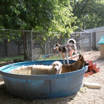 Canine Classics Spa & Resort - Pet Sitting Near Me - Bloomington, Illinois Canine Classics Spa & Resort - Pet Sitting Near Me - Bloomington, Illinois