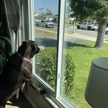 United Builders - New windows!!! - Windows Installation Near Me - Rancho Cucamonga, California United Builders - New windows!!! - Windows Installation Near Me - Rancho Cucamonga, California
