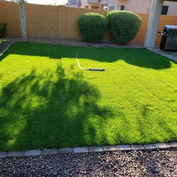 2 weeks later and I couldn't be happier with this stunning lawn! 2 weeks later and I couldn't be happier with this stunning lawn!