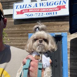 Tails A Waggin - Fresh cut