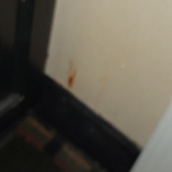 Jameson Inn Douglas - Worms in wall - Hotels Near Me - Douglas, Georgia