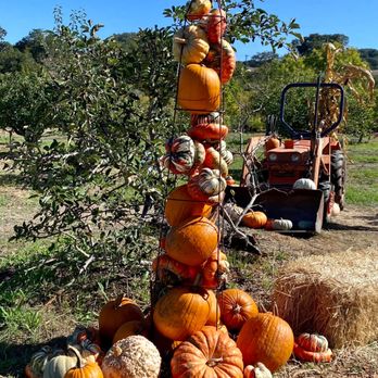 Filoli - Photo op - Botanical Gardens Near Me - Woodside, California