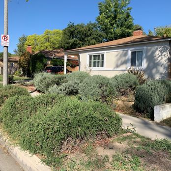 The Gardener - This is before Jose worked his magic. - Landscaping Near Me The Gardener - This is before Jose worked his magic. - Landscaping Near Me