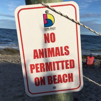 Dania Beach - Beaches Near Me - Dania Beach, Florida