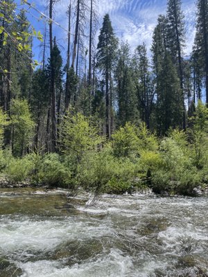 Wawona Campground by null