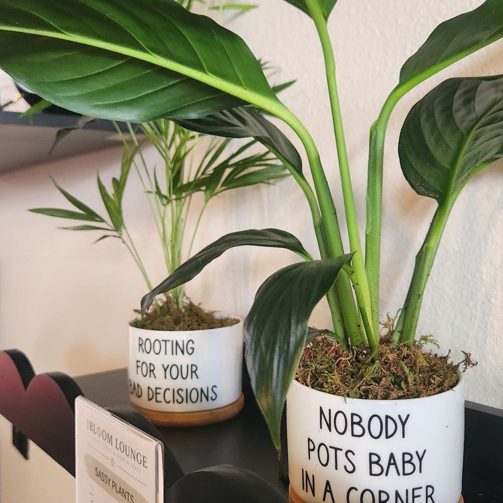 Apopka Florist - Florists Near Me - Apopka, Florida