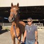 Photo of QUEST Equestrian