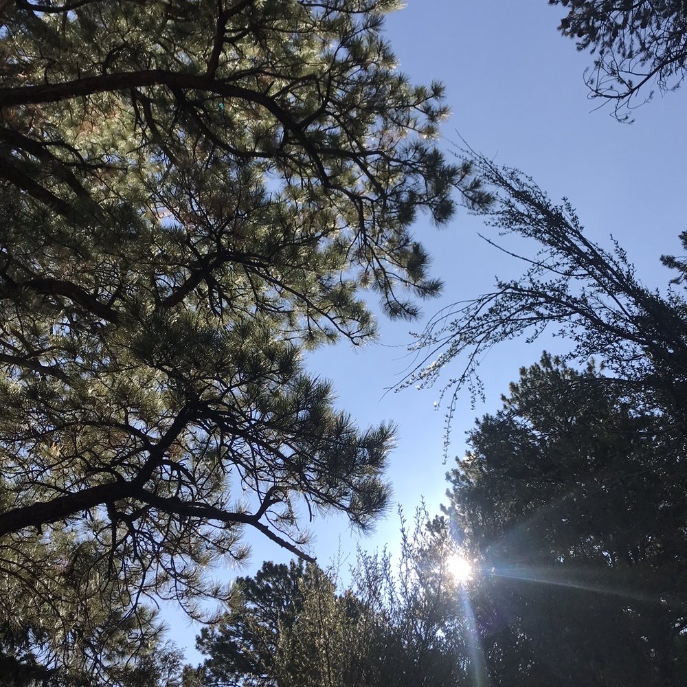 Great Basin National Park - Chillin in my hammock. - Parks Near Me - Baker, Nevada