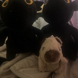 Prizes