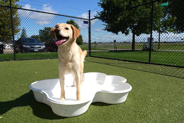 Now Boarding by null