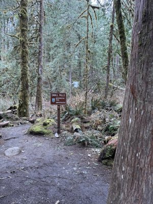 Wallace Falls State Park by null