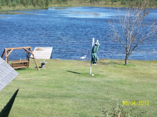 RED PINE CAMPGROUND - 5020 Red Pine Dr, Saginaw, Minnesota - Fishing