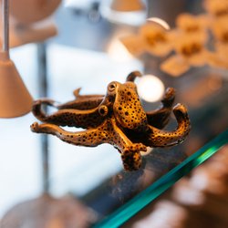 Norbu - Octopus paper weight!