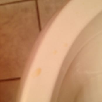 Colonial Properties - Urine on the toilet seat - Property Management Near Me - Pigeon Forge, Tennessee