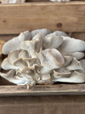 Santa Barbara Farmers Market // Saturday by null