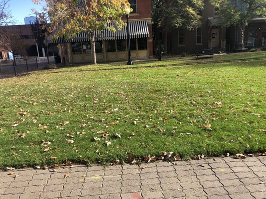 9TH STREET HISTORIC PARK - Updated September 2024 - 10 Photos - 1068 9th St, Denver, Colorado