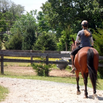 Croney's Corner Farm - A boarder riding in the ring - Horseback Riding Near Me - Aldie, Virginia