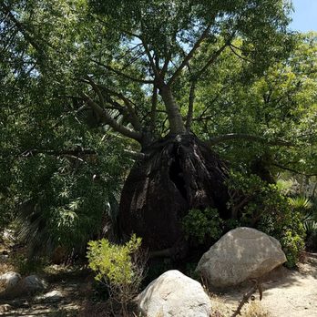 Desert Garden - Parks Near Me - San Diego, California